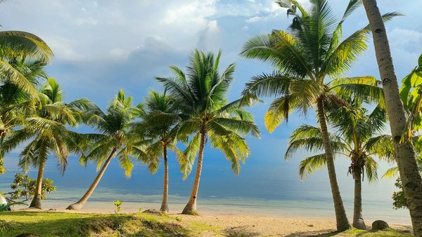 Comment choisir un sac de couchage pour le camping en climat tempéré?